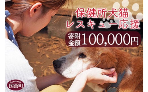 ＜保健所犬猫レスキュー【返礼品なしのご寄附】＞寄付金額100,000円※お礼状をお送りいたします。【a0625_in】
