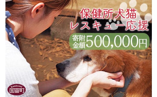 ＜保健所犬猫レスキュー【返礼品なしのご寄附】＞寄付金額500,000円※お礼状をお送りいたします。【a0626_in】