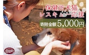 ＜保健所犬猫レスキュー【返礼品なしのご寄附】＞寄付金額5,000円※お礼状をお送りいたします。【 動物愛護 保護 犬 猫 いぬ ねこ イヌ ネコ 動物 どうぶつ ペット 応援 支援 寄付 使い道 寄附のみ いのちのはうす保護家 】【a0621_in】