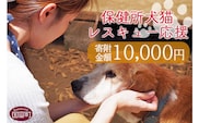 ＜保健所犬猫レスキュー【返礼品なしのご寄附】＞寄付金額10,000円※お礼状をお送りいたします。【 動物愛護 保護 犬 猫 いぬ ねこ イヌ ネコ 動物 どうぶつ ペット 応援 支援 寄付 使い道 寄附のみ いのちのはうす保護家 】【0622_in】