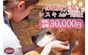 ＜保健所犬猫レスキュー【返礼品なしのご寄附】＞寄付金額30,000円※お礼状をお送りいたします。【0623_in】