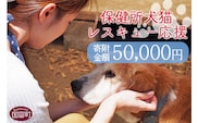 ＜保健所犬猫レスキュー【返礼品なしのご寄附】＞寄付金額50,000円※お礼状をお送りいたします。【a0624_in】