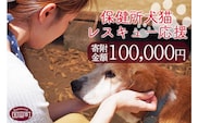 ＜保健所犬猫レスキュー【返礼品なしのご寄附】＞寄付金額100,000円※お礼状をお送りいたします。【a0625_in】