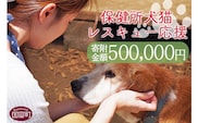 ＜保健所犬猫レスキュー【返礼品なしのご寄附】＞寄付金額500,000円※お礼状をお送りいたします。【a0626_in】