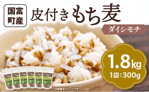 皮付きもち麦(ダイシモチ）300g×6袋