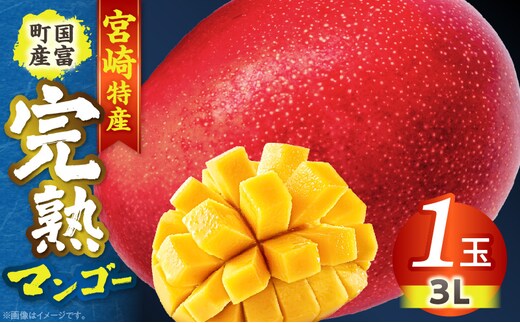 宮崎特産！国富町産の完熟マンゴー 1玉（3L）