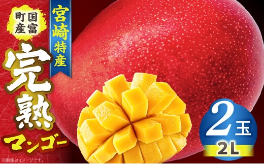 宮崎特産！国富町産の完熟マンゴー 2玉（2L×2玉）