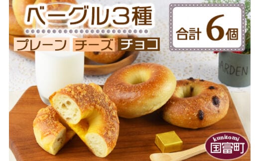 ＜ベーグル 3種セット 計6個＞翌月末迄に順次出荷【b0293_kp】