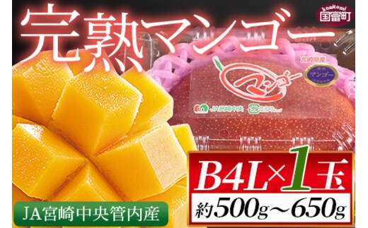 宮崎県産 完熟マンゴー B等級 4Lサイズ×1玉（約500g～650g前後）＞2024