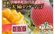 ＜宮崎県産 太陽のタマゴ A等級 2Lサイズ×3玉（合計約1kg）＞2025年4月下旬～6月末迄に順次出荷【 果物 くだもの フルーツ 太陽のタマゴ 太陽のたまご 完熟マンゴー ジューシー 果汁 かんじゅく 期間限定 先行予約 ギフト 贈答用 贈答品 贈り物】【a0694_ja】