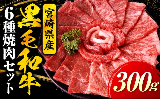 宮崎県産黒毛和牛(経産)6種焼肉セット 300g