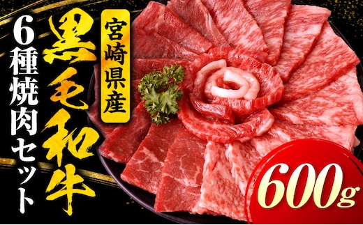 宮崎県産黒毛和牛(経産)6種焼肉セット 600g
