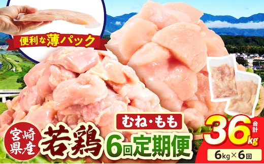 宮崎県産 若鶏切身 むね肉&もも肉 6kg（各300g×10袋）【6か月定期便】
