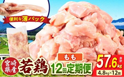 宮崎県産 若鶏切身もも肉 4.8kg（300g×16袋）【12か月定期便】