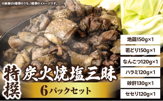 特撰 塩三昧 6パックセット
