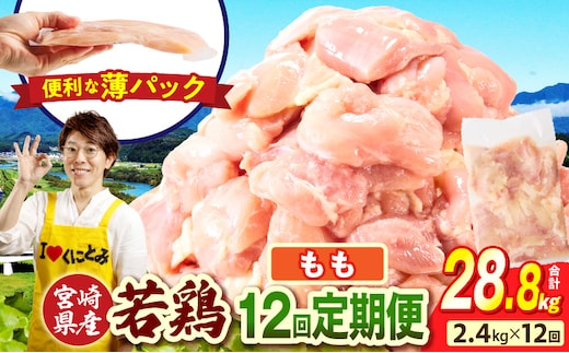 宮崎県産 若鶏切身もも肉 2.4kg（300g×8袋）【12か月定期便】