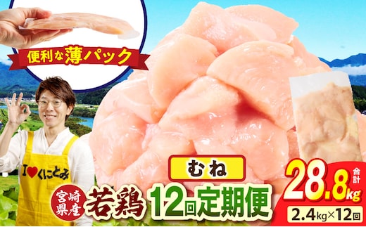 宮崎県産 若鶏切身 むね肉 2.4kg（300g×8袋）【12か月定期便】