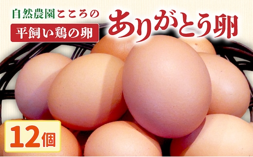 自然農園「こころ」の平飼い『ありがとう卵』 12個（6個×2パック）