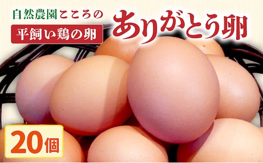 自然農園「こころ」の平飼い『ありがとう卵』 20個（10個×2パック）