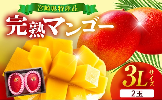 宮崎県産 完熟マンゴー 2玉 3L
