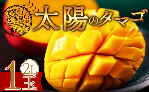 【先行予約 2026年発送】＜宮崎県産完熟マンゴー 太陽のタマゴ 2L 合計1玉＞入金確認後、2026年5月初旬～7月末迄に順次出荷【 選べる 個数 内容量 大きさ サイズ 国産 かんじゅく とろける 果物 果実 フルーツ 南国 芳醇 甘い 旬（株）ワールドワイドトレード 宮崎県 国富町 】【b0956_ww】