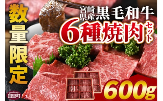 数量限定 ＜宮崎県産黒毛和牛(経産)6種焼肉セット 600g＞入金確認後、1～3か月以内に順次出荷【 国産 黒毛和牛 牛肉 牛 精肉 焼き肉 焼肉 サーロイン リブロース 肩ロース ウデ モモ バラ 贈答品 ギフト 贈り物 グルメ ミヤチク 宮崎県 国富町 】【b0750_my_x2】