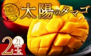 【先行予約 2026年発送】＜宮崎県産完熟マンゴー 太陽のタマゴ 2L 合計2玉＞入金確認後、2026年5月初旬～7月末迄に順次出荷【 選べる 個数 内容量 大きさ サイズ 国産 かんじゅく とろける 果物 果実 フルーツ 南国 芳醇 甘い 旬（株）ワールドワイドトレード 宮崎県 国富町 】【b0957_ww】