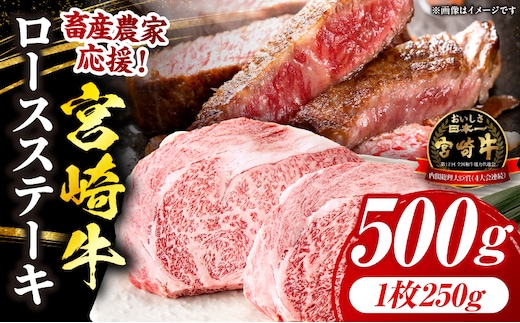 【畜産農家応援】宮崎牛 ロースステーキ 2枚 合計500g