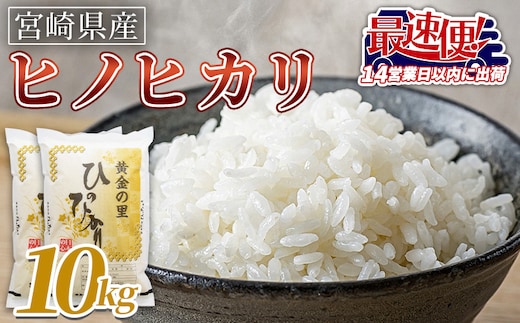 ＜宮崎県産米 ヒノヒカリ 10kg＞入金確認後、14営業日以内に順次出荷【 コメ 米 お米 白米 ご飯 飯 炊き立て こめ ひのひかり 宮崎県 県産 粒 炊き込みご飯 おにぎり 主食 】【b0920_su_x3】