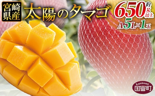 数量限定【2026年発送】＜宮崎県産 太陽のタマゴ A等級 A5Lサイズ×1玉（650g以上）＞2026年4月上旬～6月末迄に順次出荷【 太陽のタマゴ 完熟マンゴー 完熟 マンゴー フルーツ トロピカルフルーツ 果物 くだもの おいしい 美味しい 甘い あまい 】【b0912_ja】