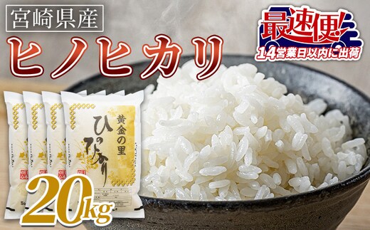 ＜宮崎県産米 ヒノヒカリ 20kg＞入金確認後、14営業日以内に順次出荷【 コメ 米 お米 白米 ご飯 飯 炊き立て こめ ひのひかり 宮崎県 県産 粒 炊き込みご飯 おにぎり 主食 】【b0922_su_x3】