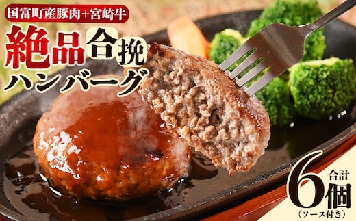 ＜絶品合挽ハンバーグ 6個＞入金確認後、翌月末迄に順次出荷 ソース付き【国富産 豚肉 宮崎牛 ブランド牛 合いびき 合い挽き ジューシー ソース付き 160g ぶたにく 牛肉 おかず 一品 焼くだけ 簡単調理 お弁当 お取り寄せ おとりよせ グルメ 贈り物 ご家庭用】【b1102_mk】