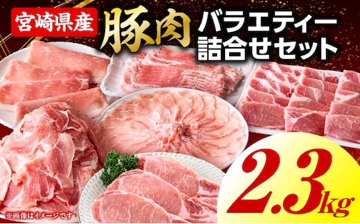 豚肉バラエティー詰合せセット【2.3kg】2026年7月発送予定