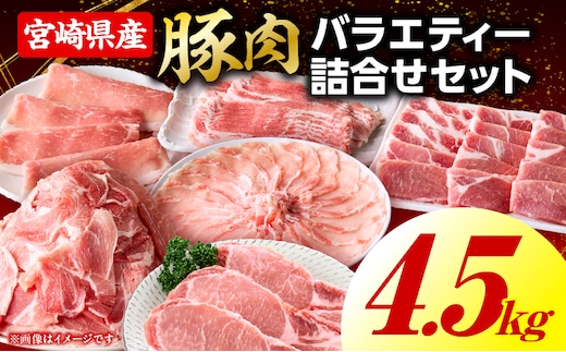 豚肉バラエティー詰合せセット【4.5kg】2026年7月発送予定