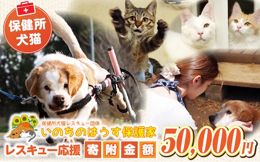 保健所犬猫レスキュー【返礼品なしのご寄附】_kn101-004