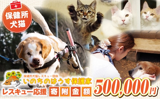 保健所犬猫レスキュー【返礼品なしのご寄附】_kn101-006