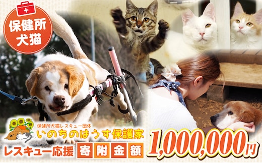 保健所犬猫レスキュー【返礼品なしのご寄附】_kn101-007