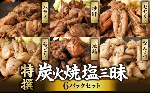 特撰 塩三昧 6パックセット