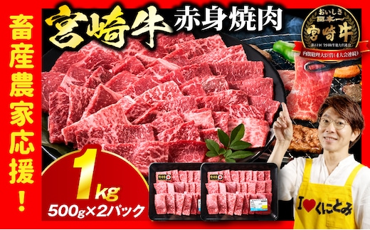 「畜産農家応援」 宮崎牛赤身(ウデorモモ) 焼肉 【1kg】_kn085-012-01