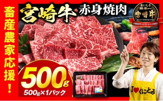「畜産農家応援」 宮崎牛赤身(ウデorモモ) 焼肉 【500g】_kn085-012