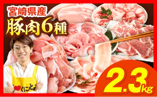 豚肉バラエティー詰合せセット【2.3kg】_kn085-013