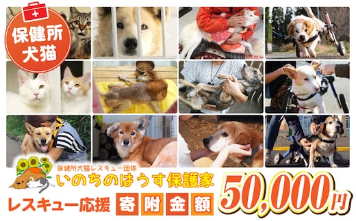 保健所犬猫レスキュー【返礼品なしのご寄附】_kn101-004