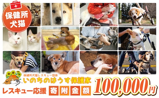 保健所犬猫レスキュー【返礼品なしのご寄附】_kn101-005