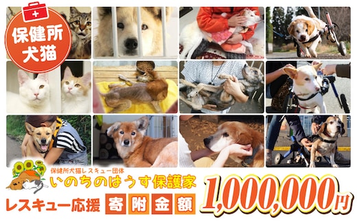 保健所犬猫レスキュー【返礼品なしのご寄附】_kn101-007