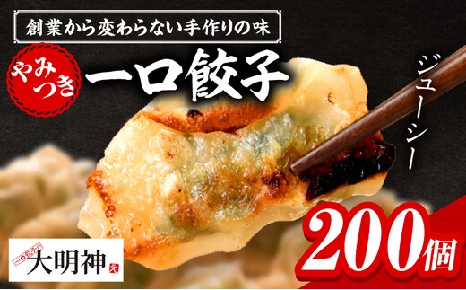 一口餃子 200 個入りタレ４個