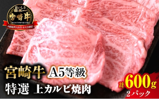 【新鮮チルド】宮崎牛特選 上カルビ焼肉 合計600g（2パック）