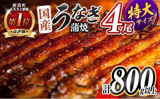 2週間以内に出荷！！特大 うなぎ 鰻楽 国産 蒲焼 4尾 計800g以上 無頭 おすすめ 冷凍 簡単調理 個包装 鰻 魚介 贈答品 ギフト 贈り物【C388-800-2w】