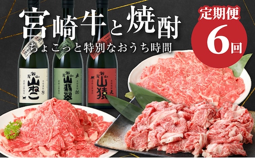 【定期便6回】宮崎牛と焼酎 ちょっと特別なおうち時間 K00_T013_2