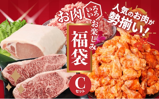 福袋 木城町 お肉いろいろお楽しみセットC K16_0071_2