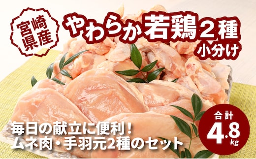 宮崎県産 やわらか若鶏2種 小分け4.8㎏ K16_0112